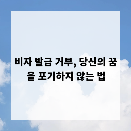 비자 발급 거부, 당신의 꿈을 포기하지 않는 법