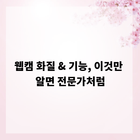웹캠 화질 & 기능, 이것만 알면 전문가처럼