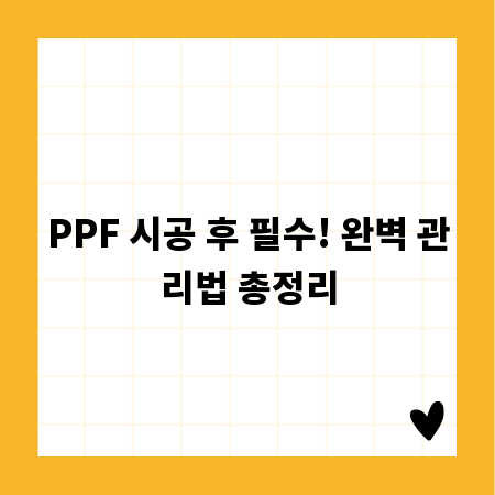 PPF 시공 후 필수! 완벽 관리법 총정리