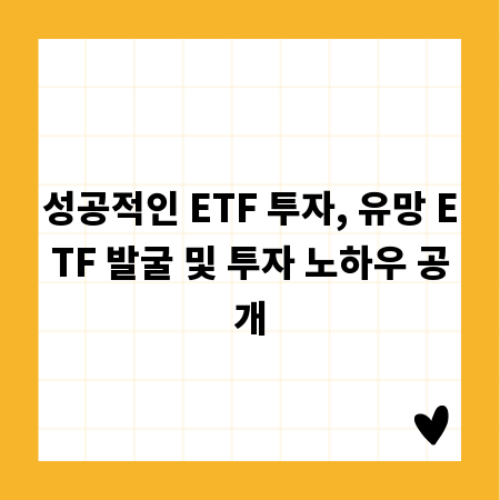 성공적인 ETF 투자, 유망 ETF 발굴 및 투자 노하우 공개