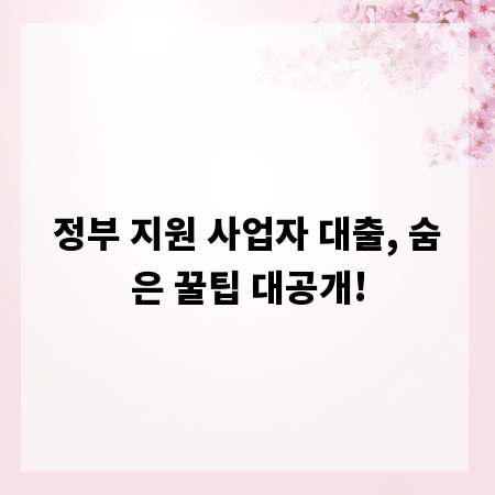 정부 지원 사업자 대출, 숨은 꿀팁 대공개!