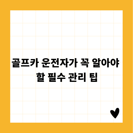 골프카 운전자가 꼭 알아야 할 필수 관리 팁