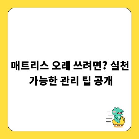 매트리스 오래 쓰려면? 실천 가능한 관리 팁 공개
