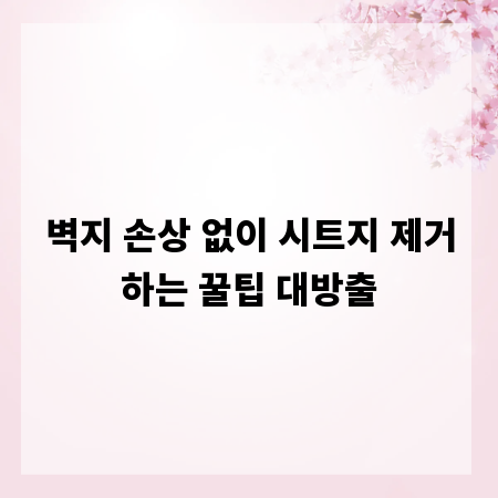 벽지 손상 없이 시트지 제거하는 꿀팁 대방출