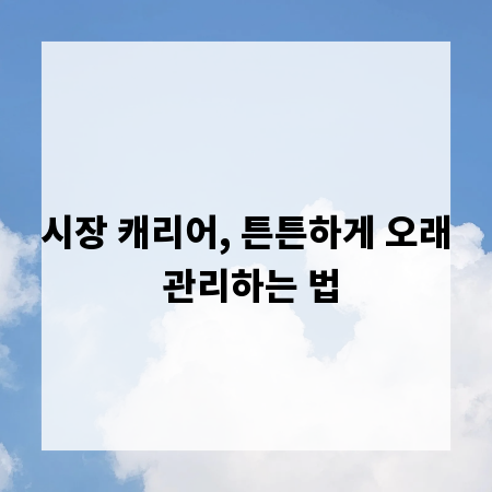시장 캐리어, 튼튼하게 오래 관리하는 법