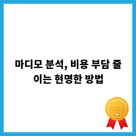 마디모 분석, 비용 부담 줄이는 현명한 방법