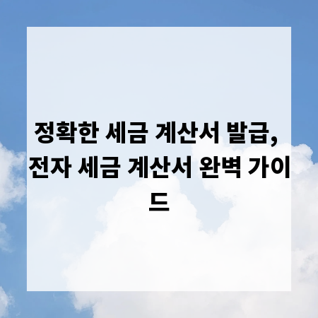 정확한 세금 계산서 발급, 전자 세금 계산서 완벽 가이드