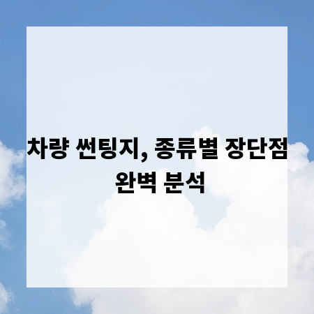 차량 썬팅지, 종류별 장단점 완벽 분석