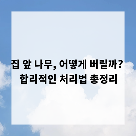 집 앞 나무, 어떻게 버릴까? 합리적인 처리법 총정리