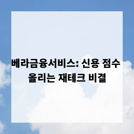 베라금융서비스: 신용 점수 올리는 재테크 비결