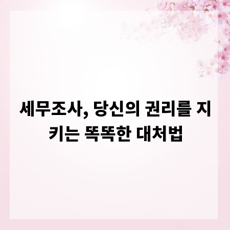 세무조사, 당신의 권리를 지키는 똑똑한 대처법