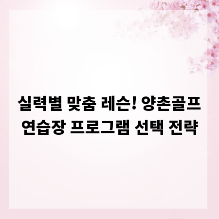 실력별 맞춤 레슨! 양촌골프연습장 프로그램 선택 전략