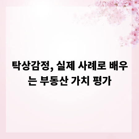 탁상감정, 실제 사례로 배우는 부동산 가치 평가