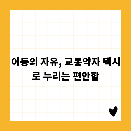 이동의 자유, 교통약자 택시로 누리는 편안함