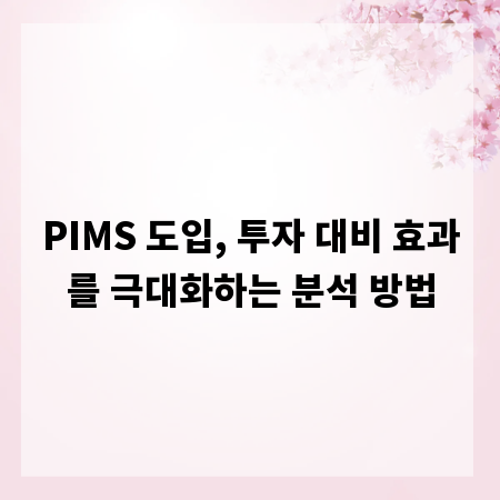 PIMS 도입, 투자 대비 효과를 극대화하는 분석 방법