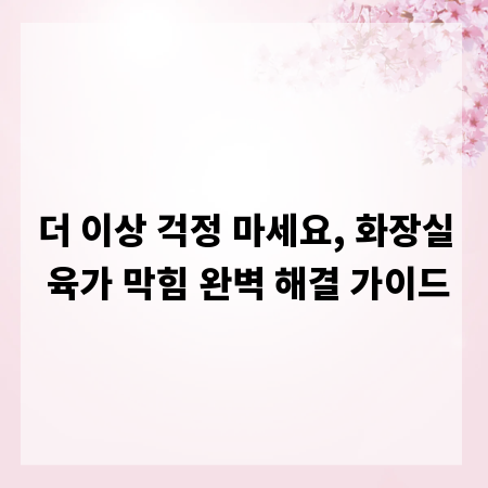 더 이상 걱정 마세요, 화장실 육가 막힘 완벽 해결 가이드