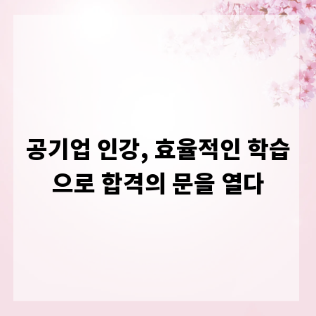 공기업 인강, 효율적인 학습으로 합격의 문을 열다