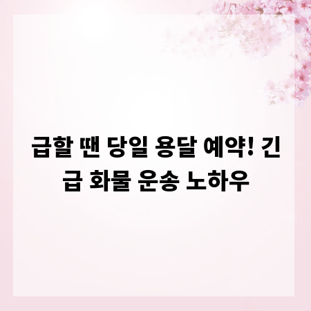 급할 땐 당일 용달 예약! 긴급 화물 운송 노하우