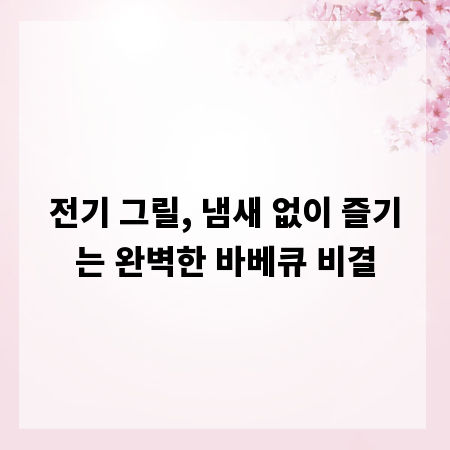 전기 그릴, 냄새 없이 즐기는 완벽한 바베큐 비결