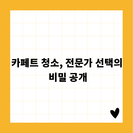 카페트 청소, 전문가 선택의 비밀 공개