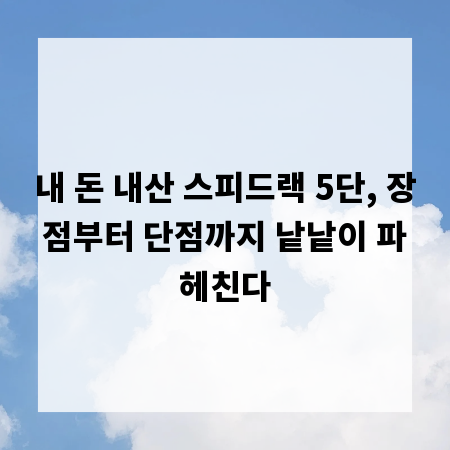 내 돈 내산 스피드랙 5단, 장점부터 단점까지 낱낱이 파헤친다