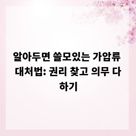 알아두면 쓸모있는 가압류 대처법: 권리 찾고 의무 다하기