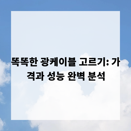 똑똑한 광케이블 고르기: 가격과 성능 완벽 분석