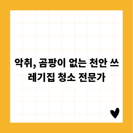 악취, 곰팡이 없는 천안 쓰레기집 청소 전문가