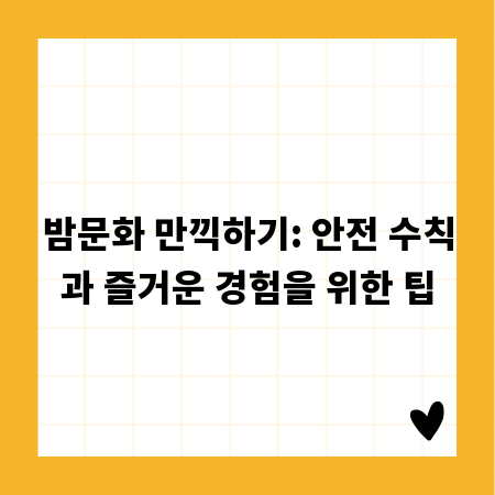 밤문화 만끽하기: 안전 수칙과 즐거운 경험을 위한 팁