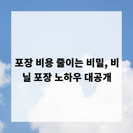 포장 비용 줄이는 비밀, 비닐 포장 노하우 대공개
