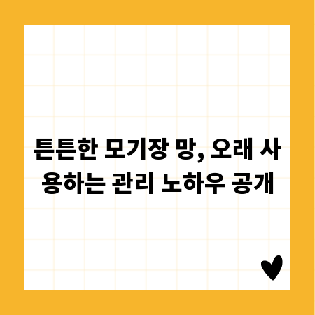 튼튼한 모기장 망, 오래 사용하는 관리 노하우 공개