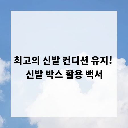 최고의 신발 컨디션 유지! 신발 박스 활용 백서