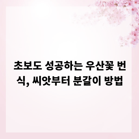 초보도 성공하는 우산꽃 번식, 씨앗부터 분갈이 방법
