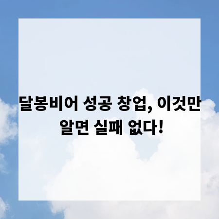 달봉비어 성공 창업, 이것만 알면 실패 없다!