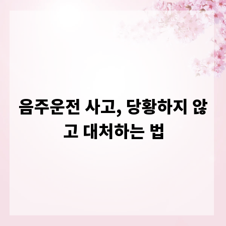 음주운전 사고, 당황하지 않고 대처하는 법
