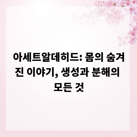 아세트알데히드: 몸의 숨겨진 이야기, 생성과 분해의 모든 것