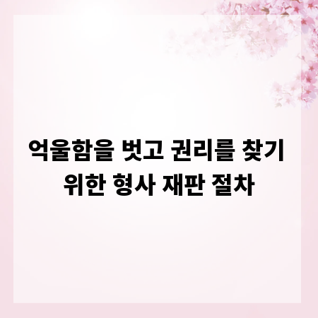 억울함을 벗고 권리를 찾기 위한 형사 재판 절차