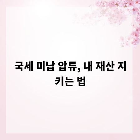 국세 미납 압류, 내 재산 지키는 법