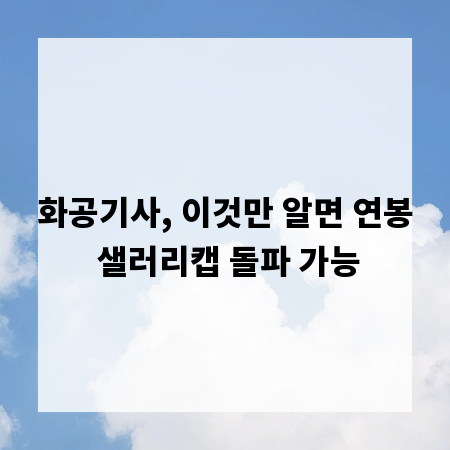 화공기사, 이것만 알면 연봉 샐러리캡 돌파 가능