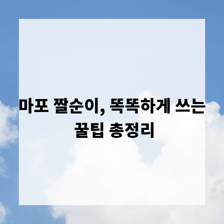 마포 짤순이, 똑똑하게 쓰는 꿀팁 총정리