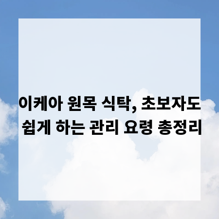 이케아 원목 식탁, 초보자도 쉽게 하는 관리 요령 총정리