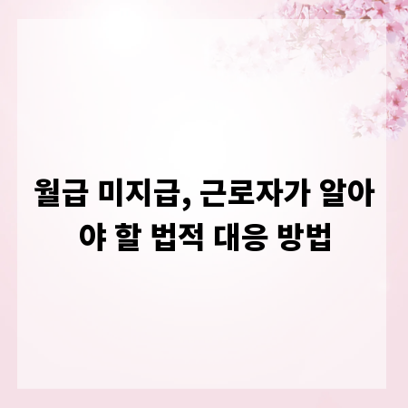 월급 미지급, 근로자가 알아야 할 법적 대응 방법