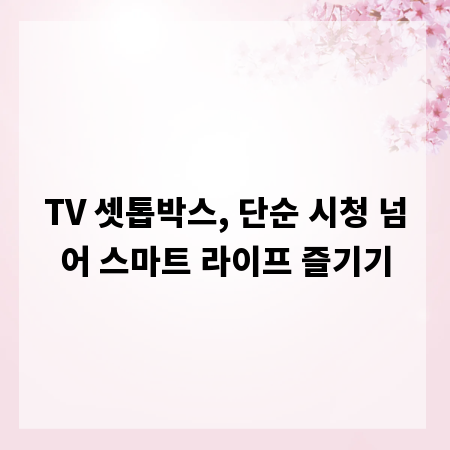 TV 셋톱박스, 단순 시청 넘어 스마트 라이프 즐기기