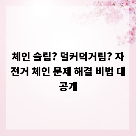 체인 슬립? 덜커덕거림? 자전거 체인 문제 해결 비법 대공개