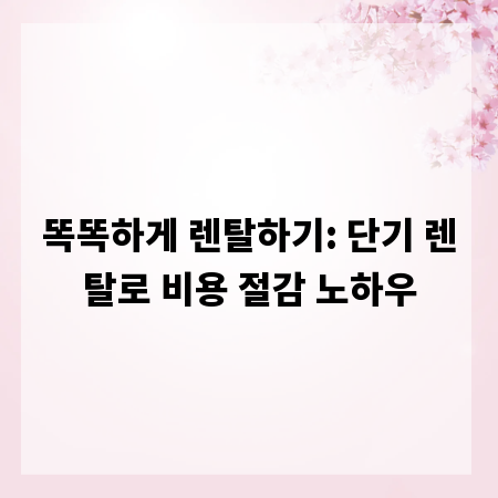 똑똑하게 렌탈하기: 단기 렌탈로 비용 절감 노하우