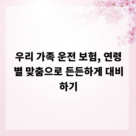우리 가족 운전 보험, 연령별 맞춤으로 든든하게 대비하기