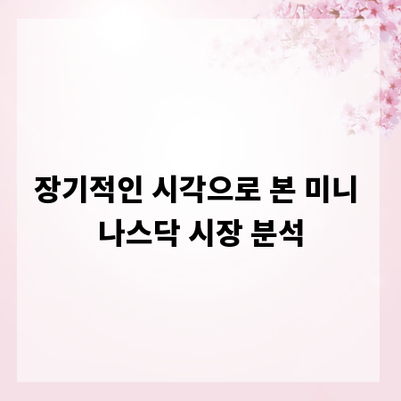 장기적인 시각으로 본 미니 나스닥 시장 분석