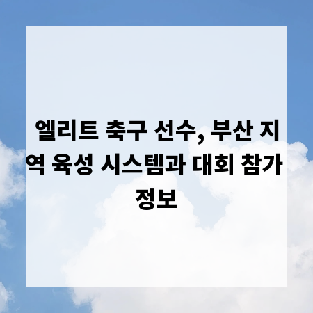 엘리트 축구 선수, 부산 지역 육성 시스템과 대회 참가 정보