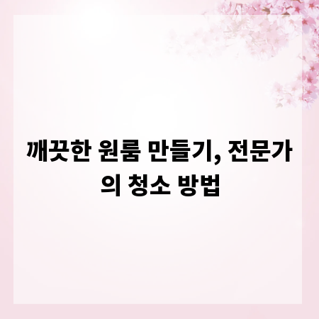 깨끗한 원룸 만들기, 전문가의 청소 방법