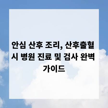 안심 산후 조리, 산후출혈 시 병원 진료 및 검사 완벽 가이드